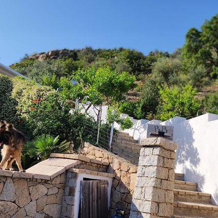 Casa L'Ulivariu Affittacamere San Teodoro  Zewnętrze zdjęcie