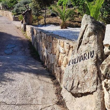 Casa L'Ulivariu Affittacamere San Teodoro  Zewnętrze zdjęcie