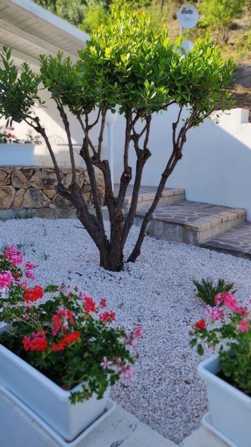Casa L'Ulivariu Affittacamere San Teodoro  Zewnętrze zdjęcie
