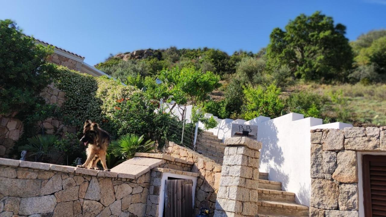 Casa L'Ulivariu Affittacamere San Teodoro  Zewnętrze zdjęcie