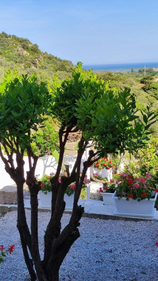 Casa L'Ulivariu Affittacamere San Teodoro  Zewnętrze zdjęcie