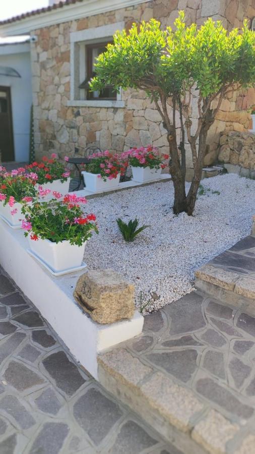 Casa L'Ulivariu Affittacamere San Teodoro  Zewnętrze zdjęcie