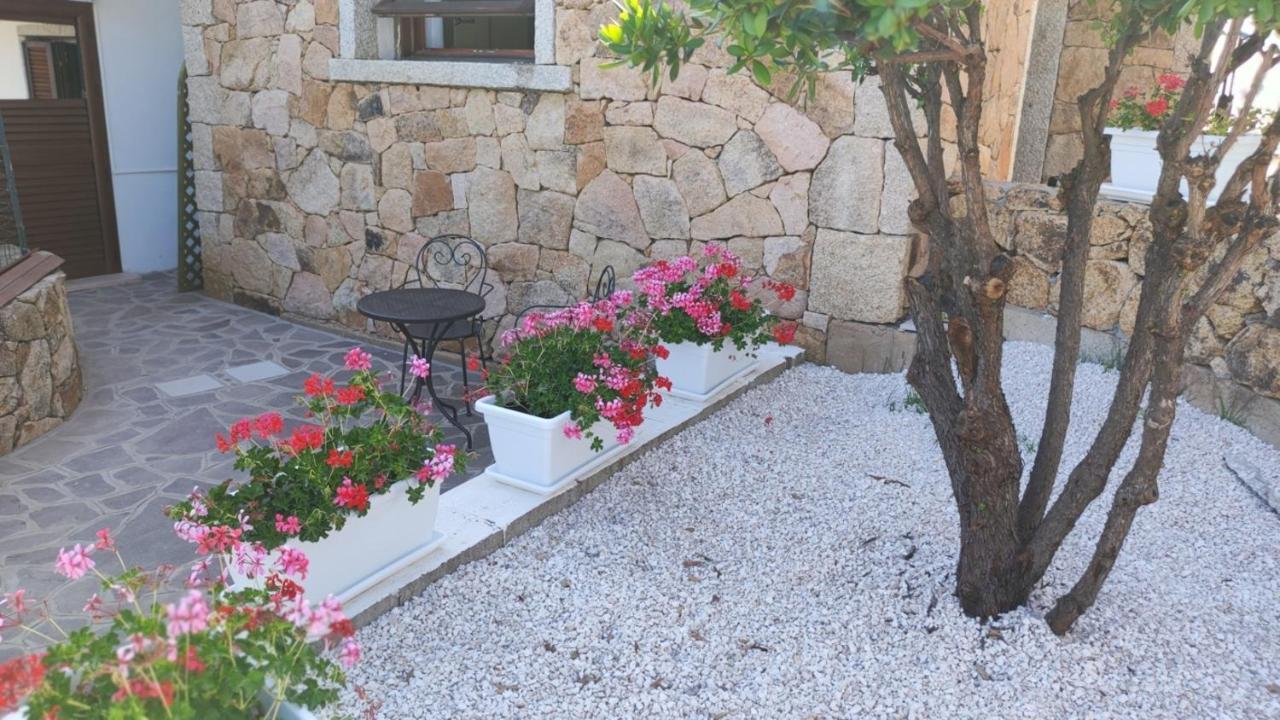 Casa L'Ulivariu Affittacamere San Teodoro  Zewnętrze zdjęcie