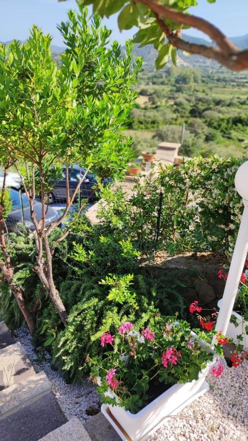 Casa L'Ulivariu Affittacamere San Teodoro  Zewnętrze zdjęcie