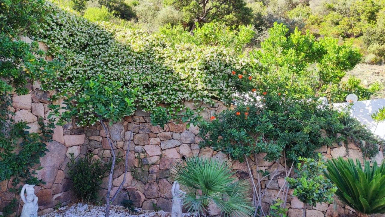 Casa L'Ulivariu Affittacamere San Teodoro  Zewnętrze zdjęcie