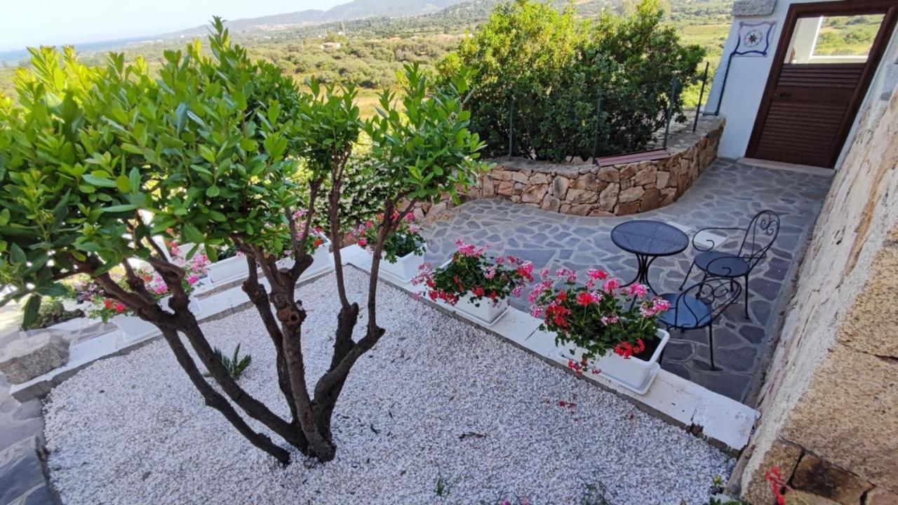 Casa L'Ulivariu Affittacamere San Teodoro  Zewnętrze zdjęcie