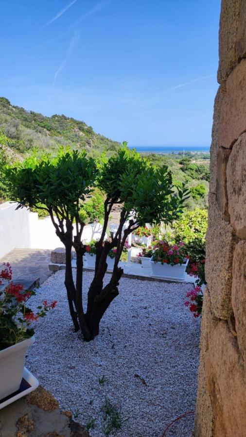 Casa L'Ulivariu Affittacamere San Teodoro  Zewnętrze zdjęcie