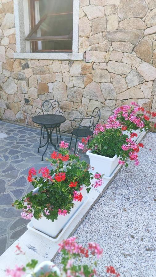 Casa L'Ulivariu Affittacamere San Teodoro  Zewnętrze zdjęcie